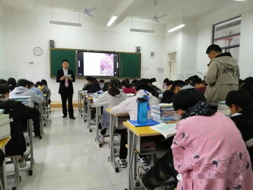 信息技術服務學部公開課教研精雕細琢，賦能職業教育咨詢新高度——記蒙城縣職業教育中心教研活動